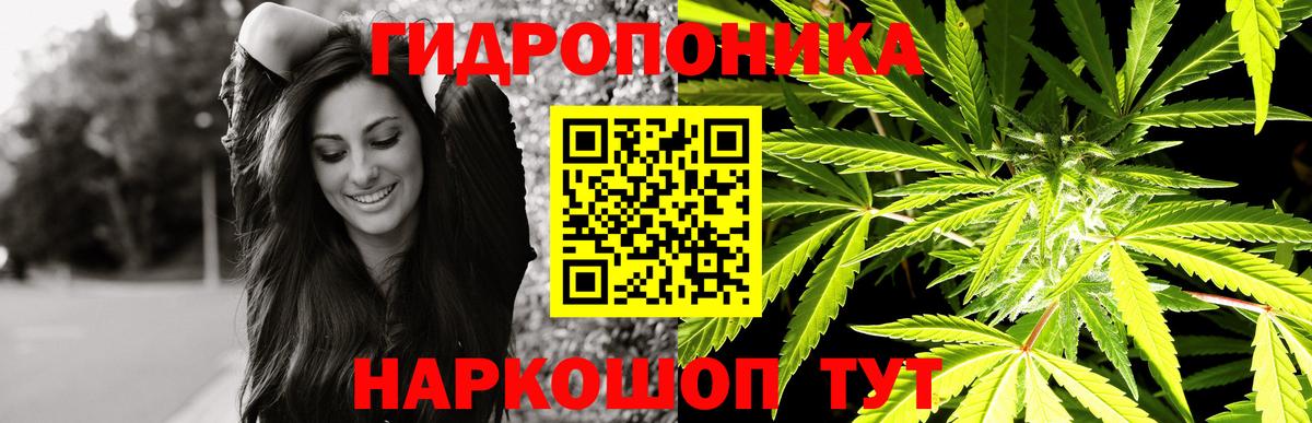 Канабис ГИДРОПОН Можга